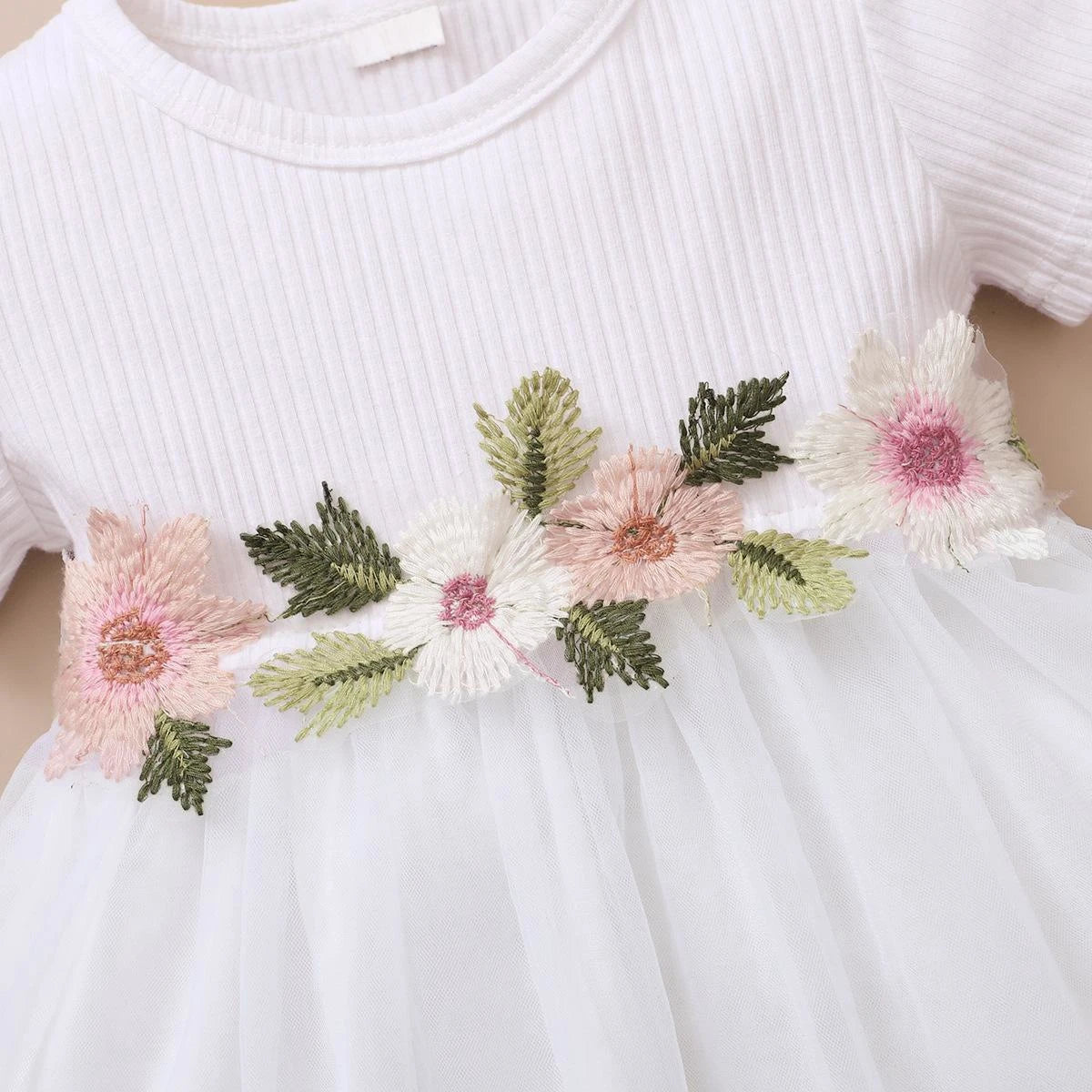 Baby Girl Princess Dress Embroideried Flowers